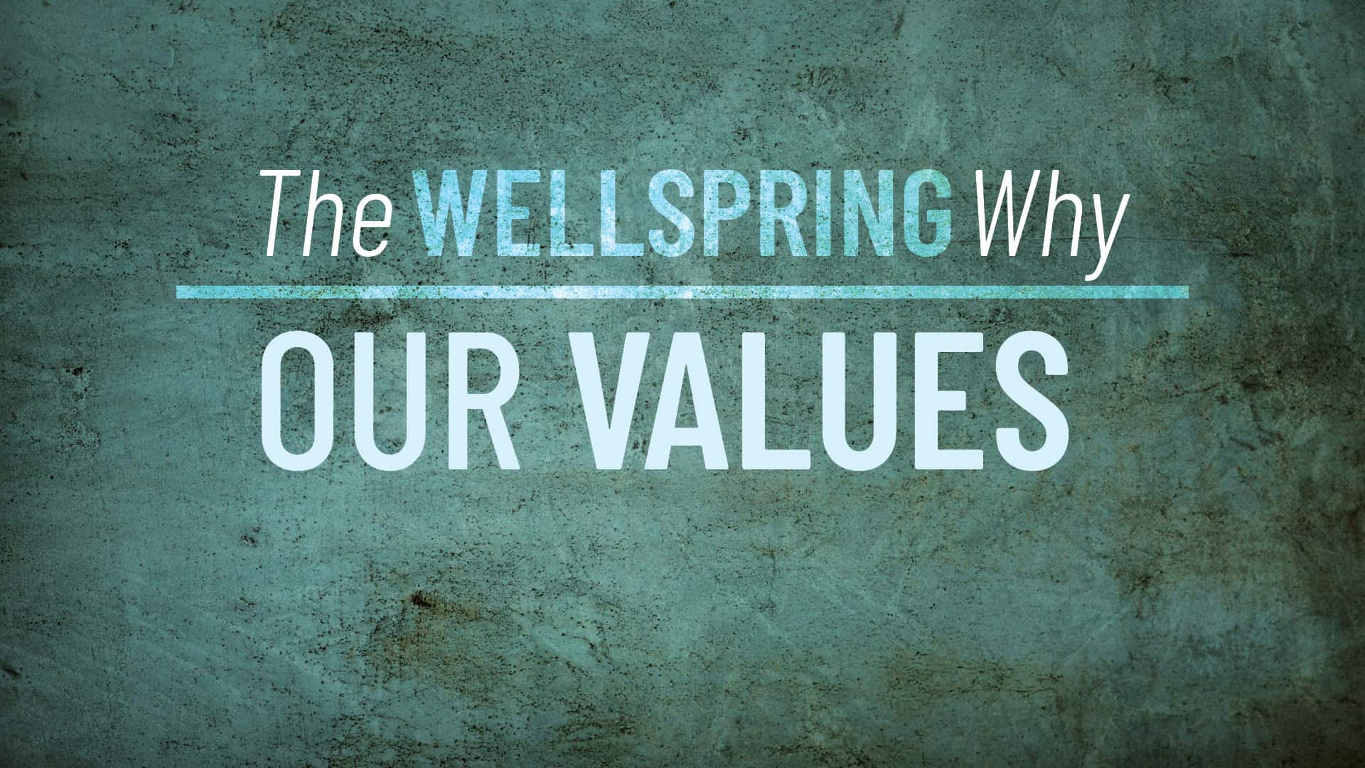 2024-01-05 The Wellspring Why web