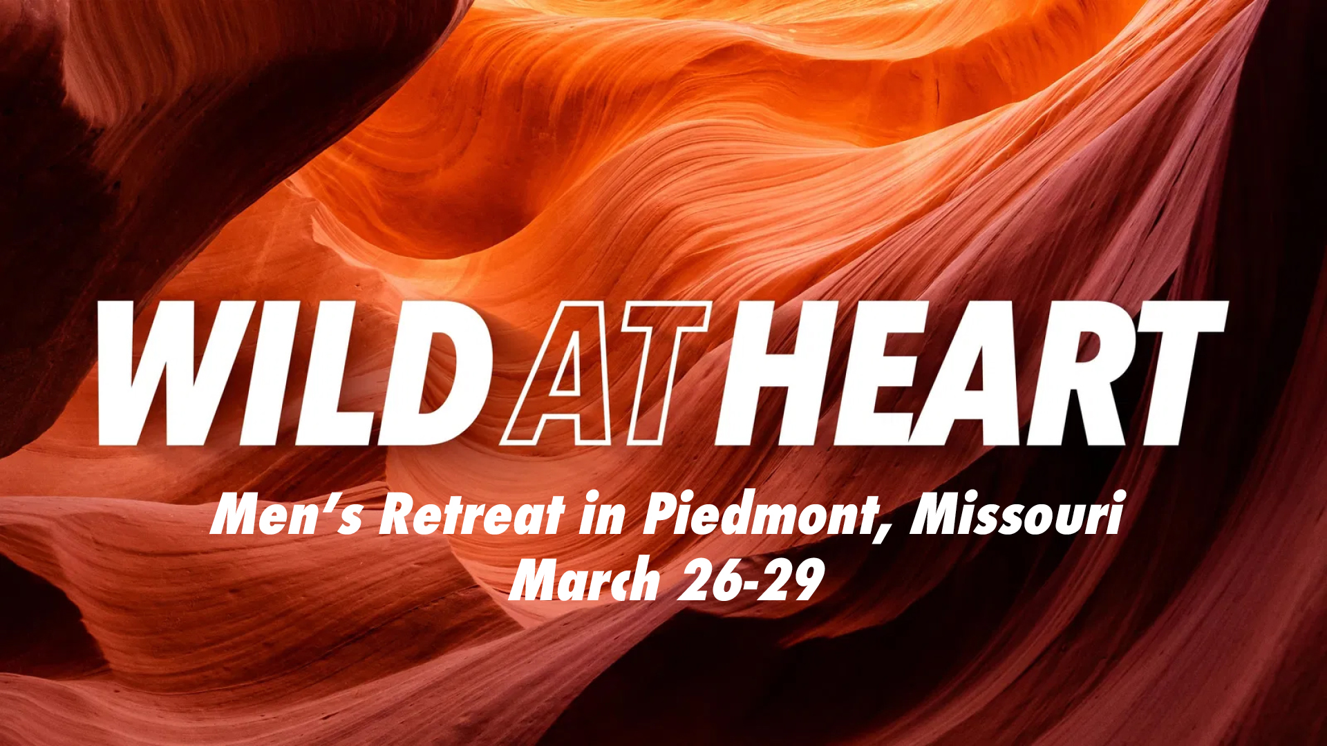 2026-03-26 Wild at Heart. Basic