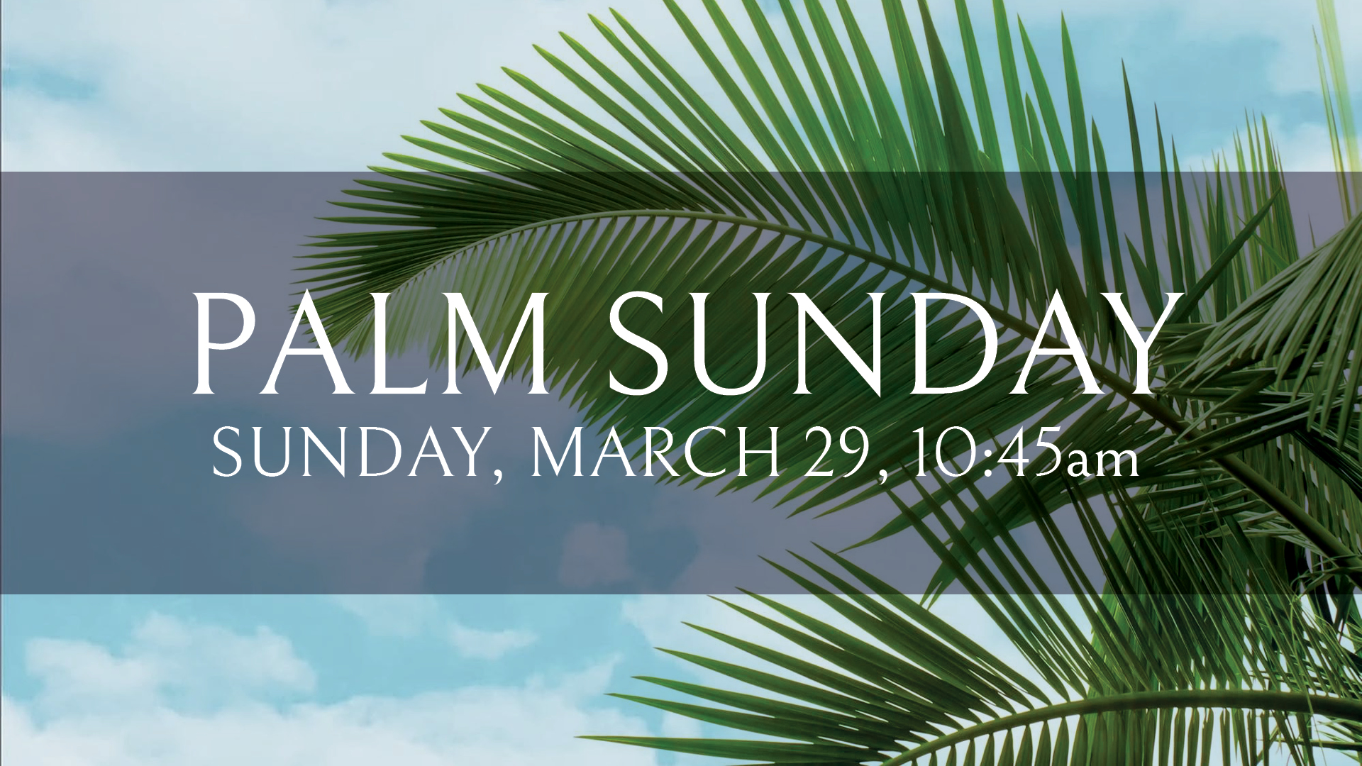2026-03-29 Palm Sunday